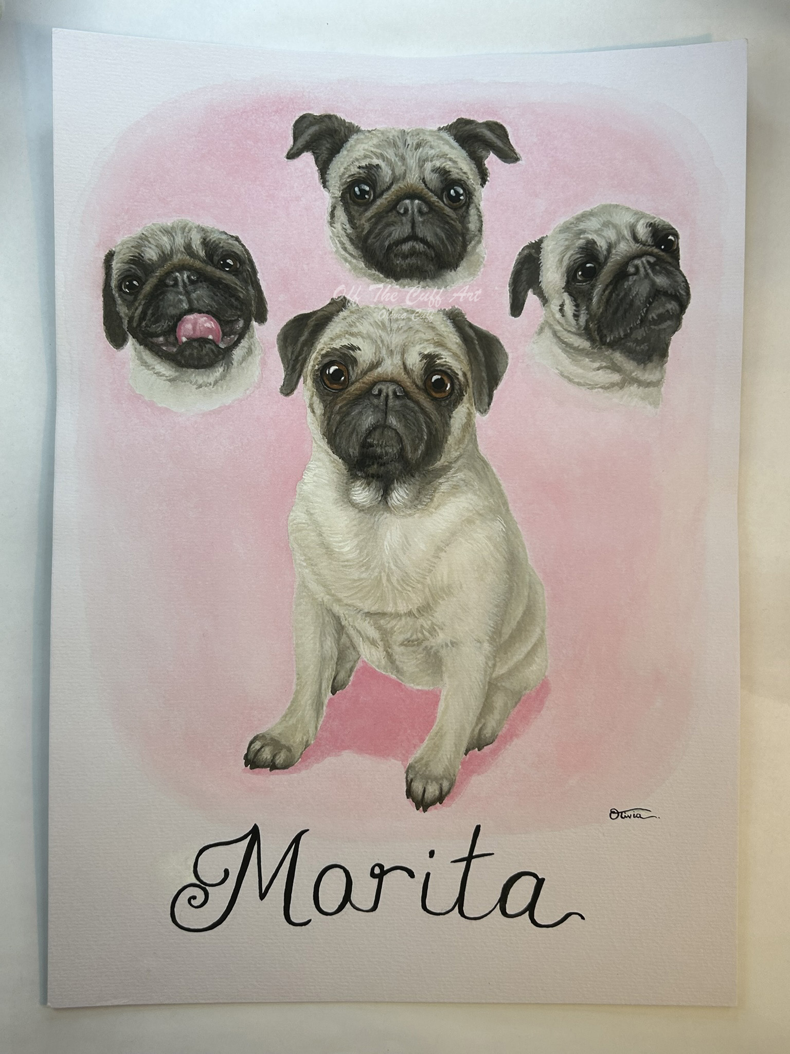dog morita x4
