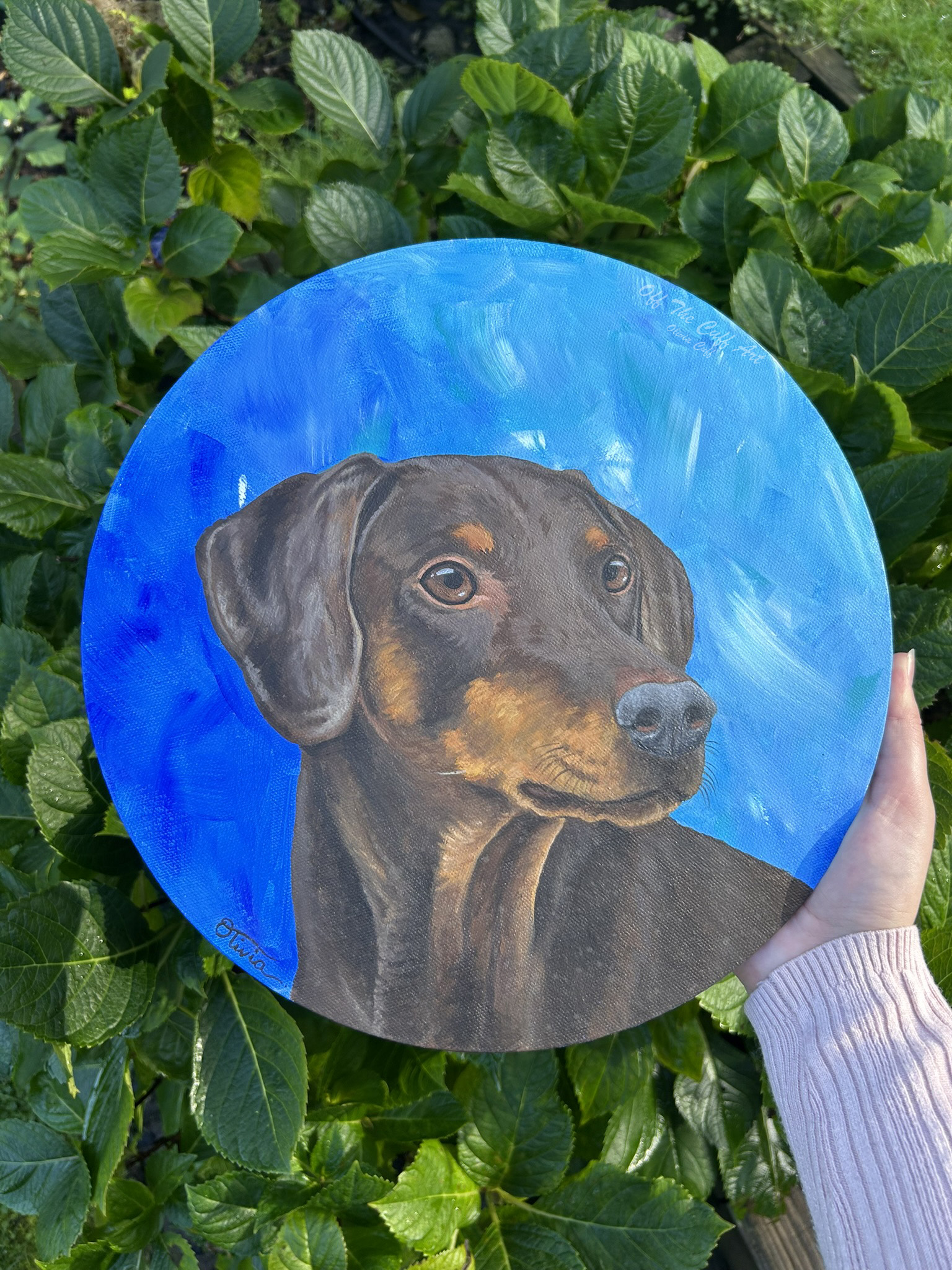 doberman round